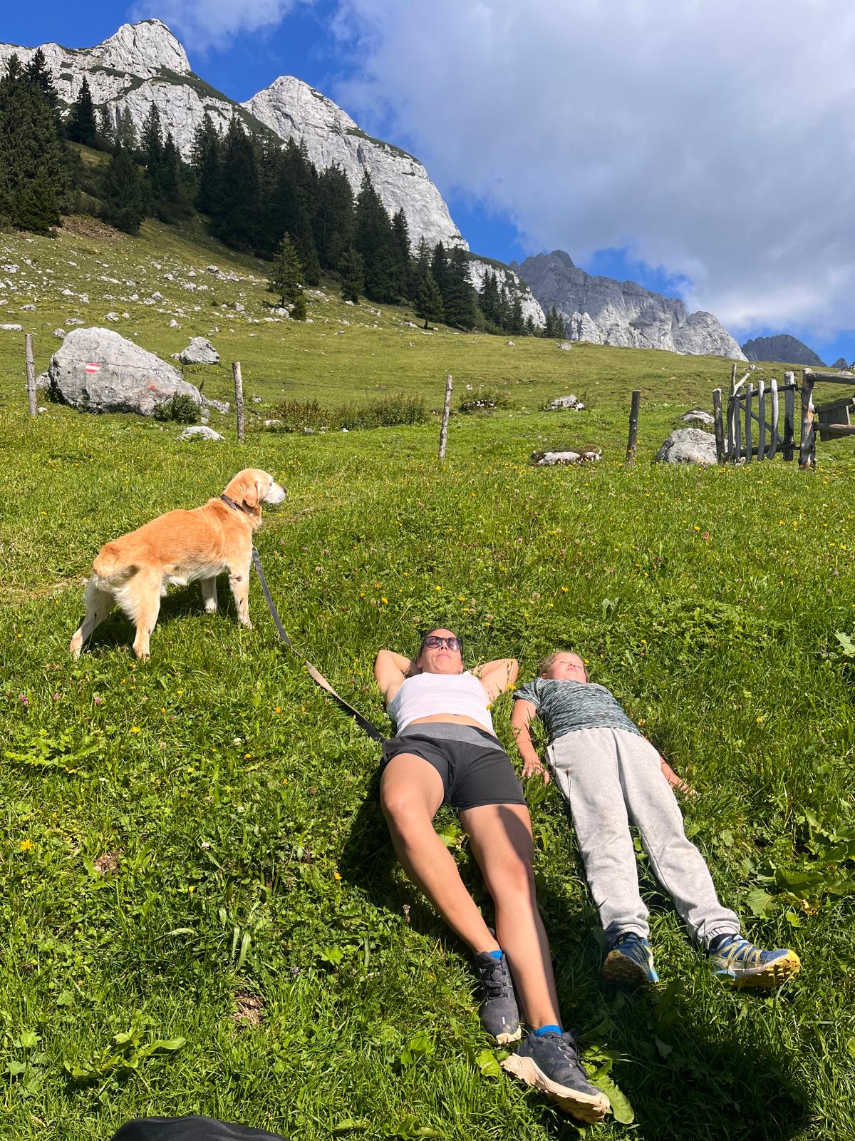 Urlaub in Flachau mit Hund